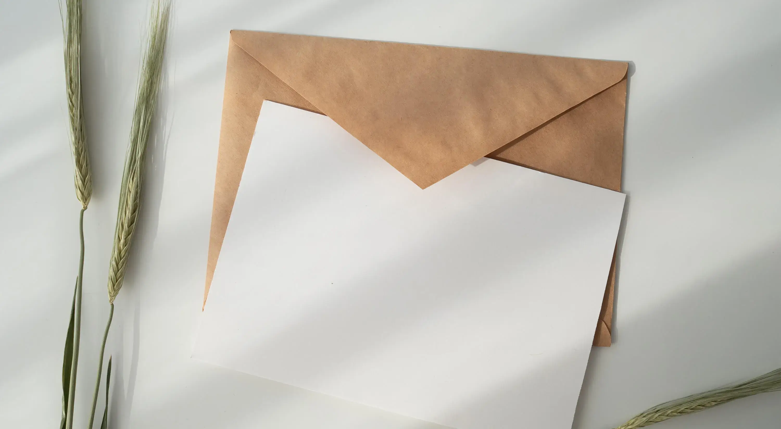 newsletter-banner-2